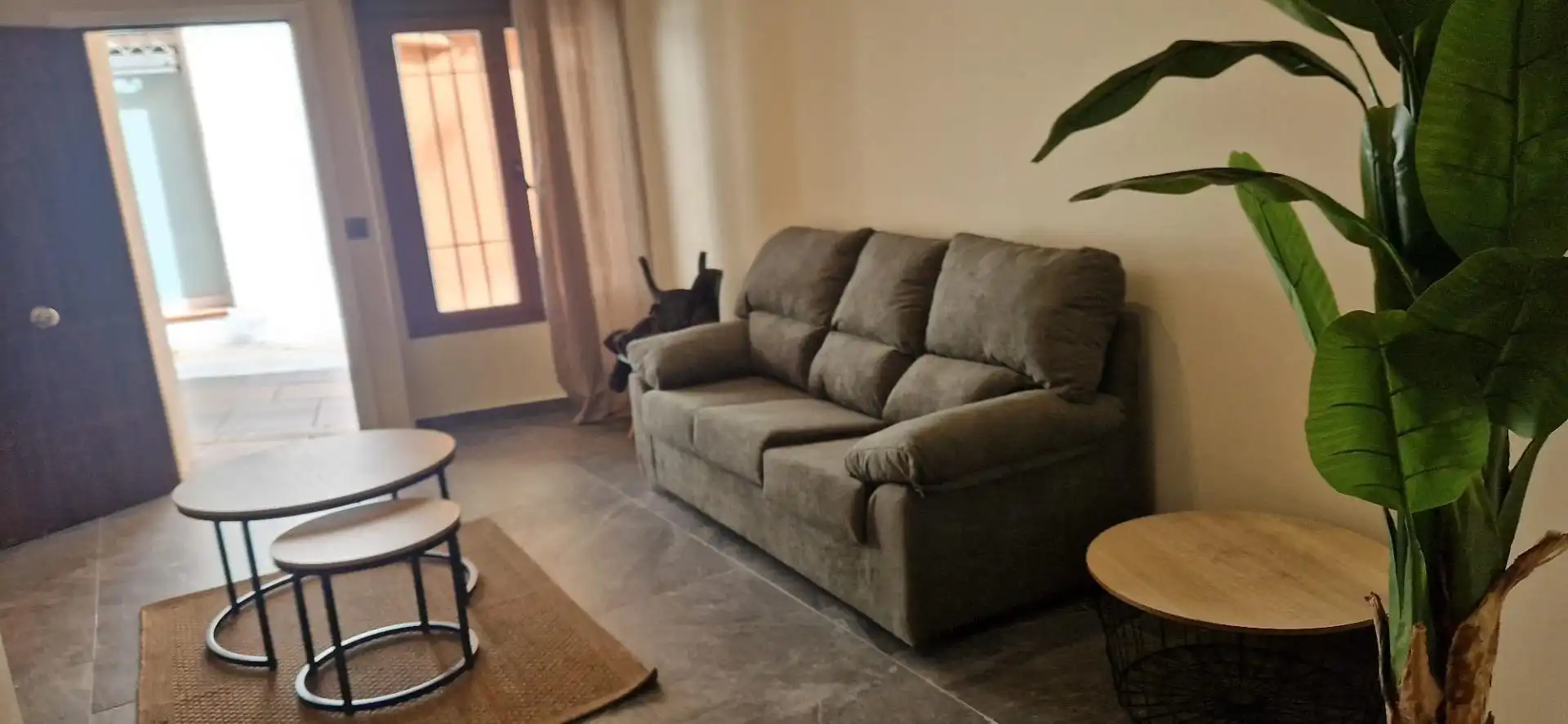 Apartament de lloguer a Casco Antiguo, imagen 10