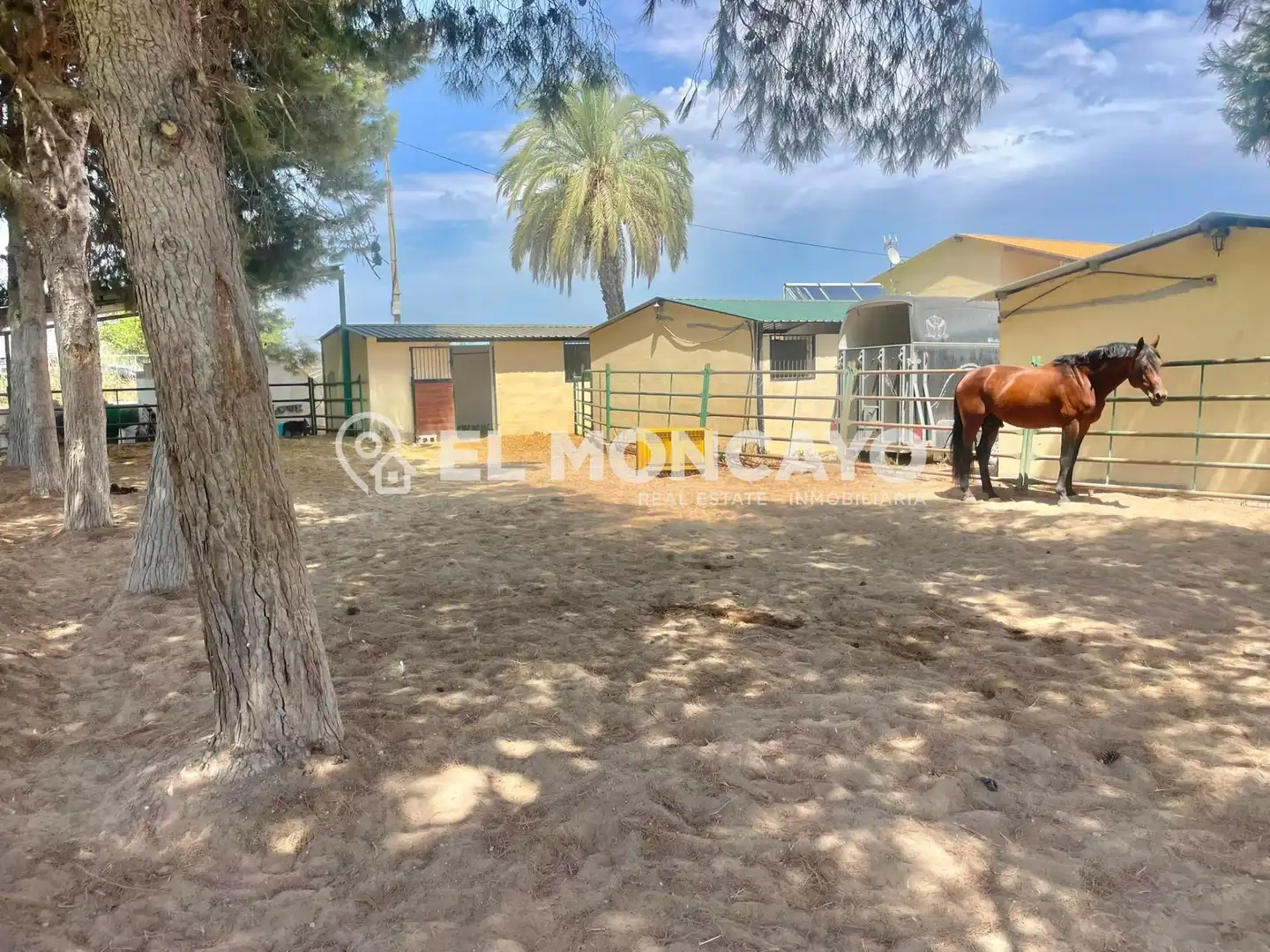 Casa con piscina en venta en Dolores, imagen 36