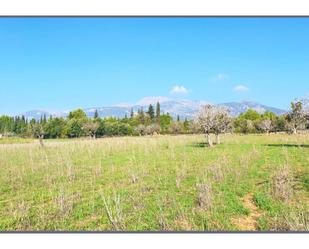 Land for sale in Selva