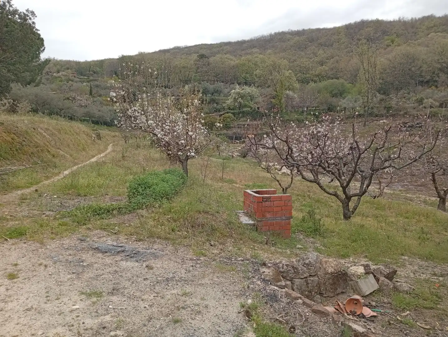 Terreni e lotti in vendita a Villanueva de la Vera, imagen 45