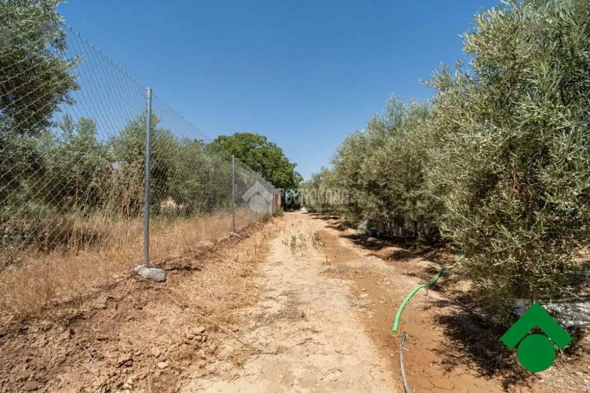 Rustikales Grundstück zum Verkauf in Santa Fe, imagen 21