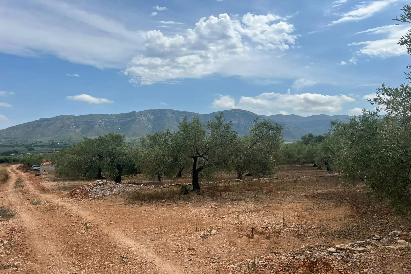 Finca rústica en venda en Freginals