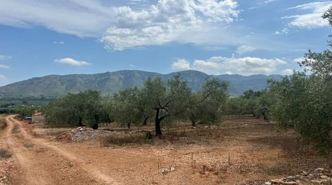 Photo 5 of Country homes for sale in Freginals, Tarragona