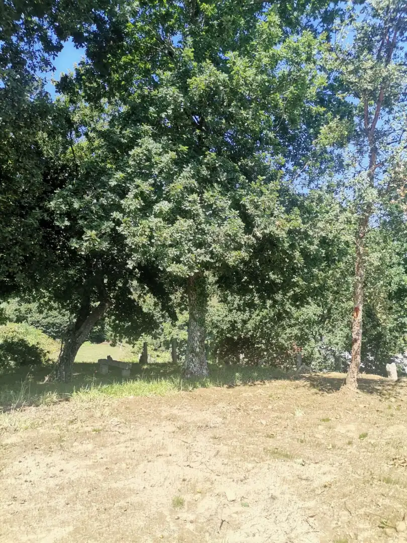 Terrenys i solars en venda a Mos, imagen 29