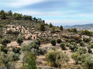 Terreno rustico in vendita a Calaceite