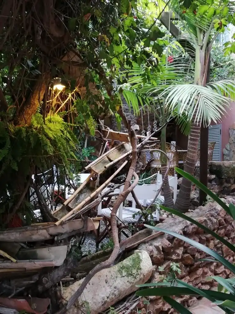 Garden of Commercial properties for sale in Pulpí