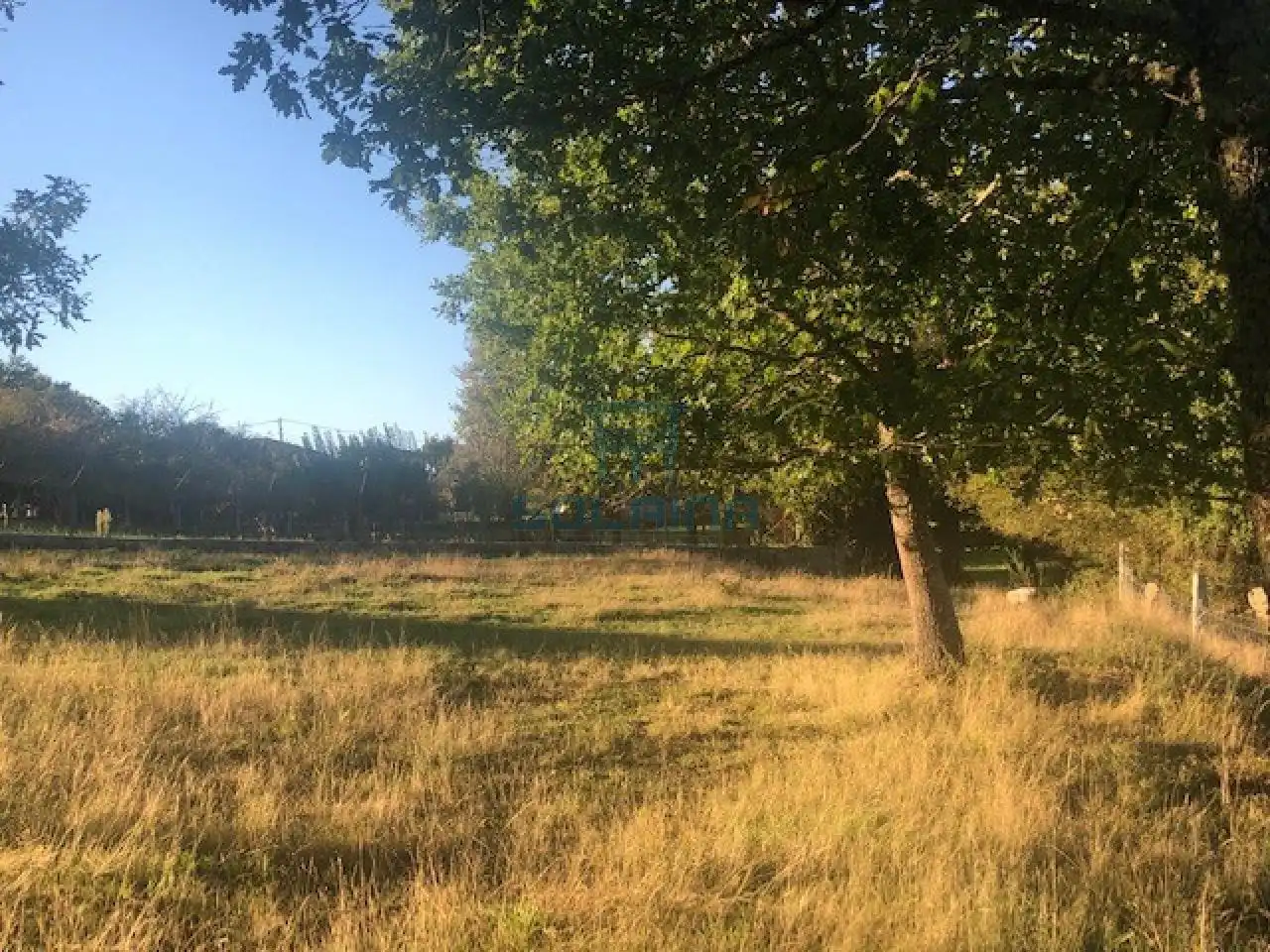 Terreni e lotti in vendita a Nogueira de Ramuín, imagen 5