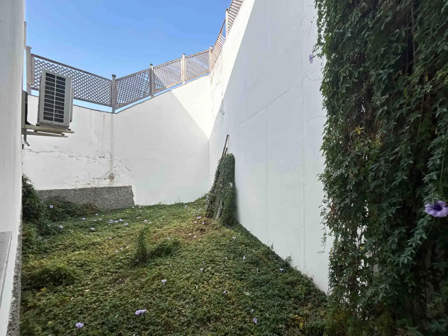 Vista exterior de Local en venta en Benalup-Casas Viejas con Aire acondicionado