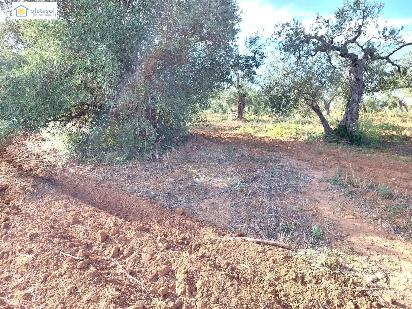 Terreni e lotti in vendita a Camino del Camino de los Arrieros, imagen 40