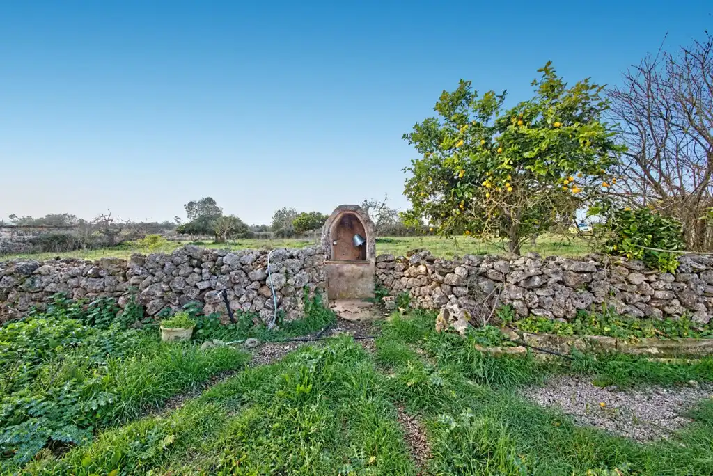 Maison rustique à vendre à Maria de la Salut, imagen 8