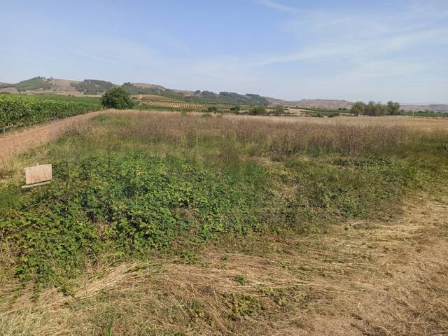 Terreno residencial en Venta en N/A en Alesanco