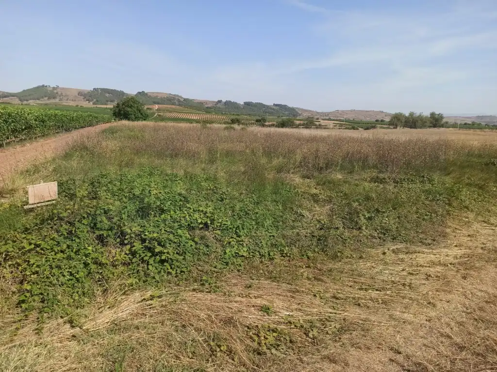 Terreno residenziale in vendita a Alesanco
