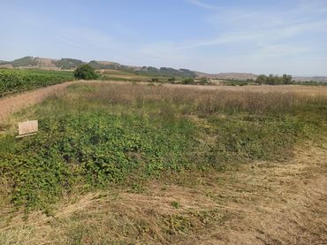 Terreno residenziale in vendita a Alesanco