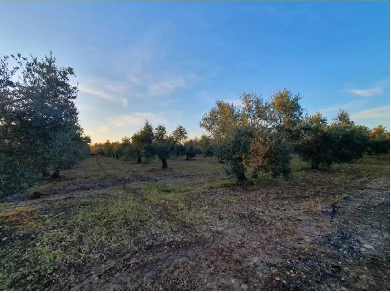 Residencial en venta en Entrín Bajo