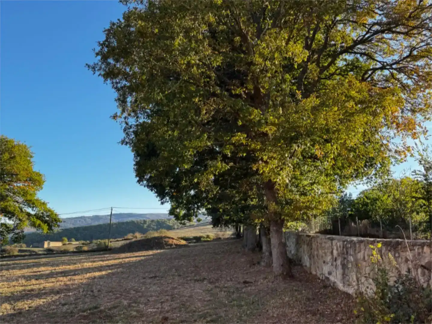 Casa o chalet en venta en Las Rozas de Valdearroyo  con Jardín privado y Balcón