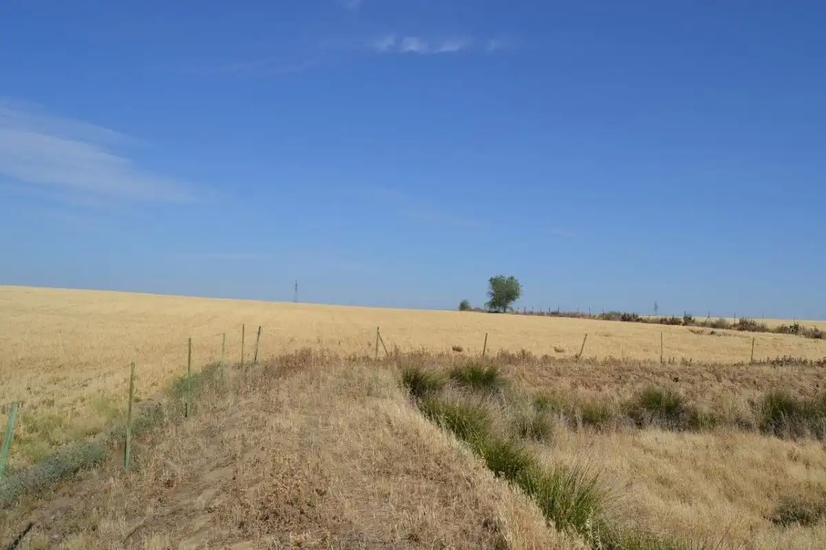 Terreni e lotti in vendita a SENDA DE LOS CIVILES, imagen 60