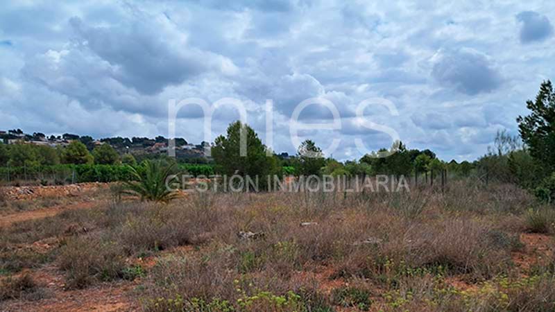 Finca rústica en venda en Torrent