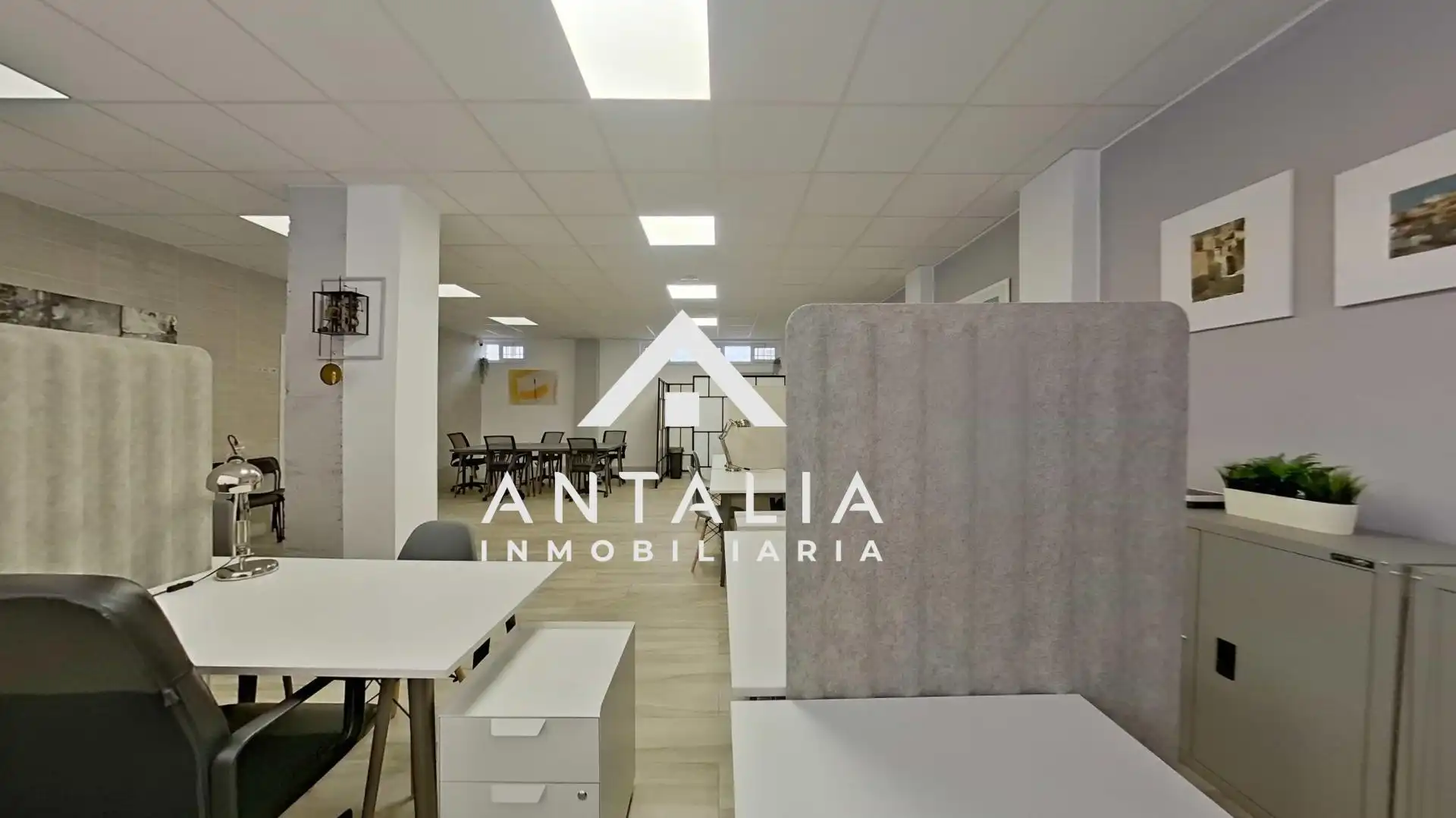 Oficina de alquiler en Nuevo Cáceres
