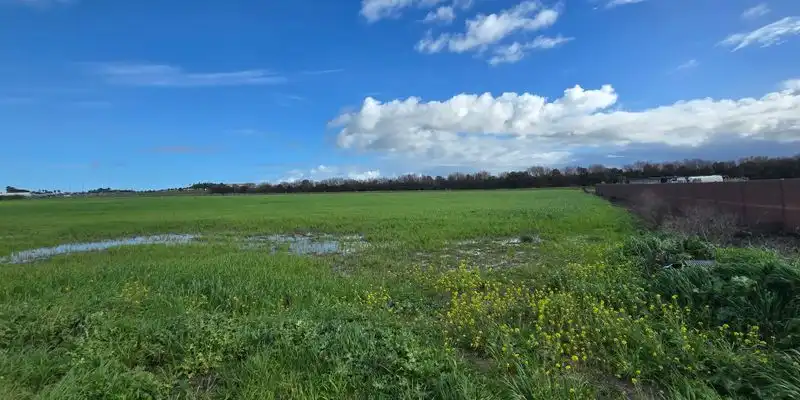 Terreni e lotti in vendita a Camino De Múnive - Reyerta, imagen 3