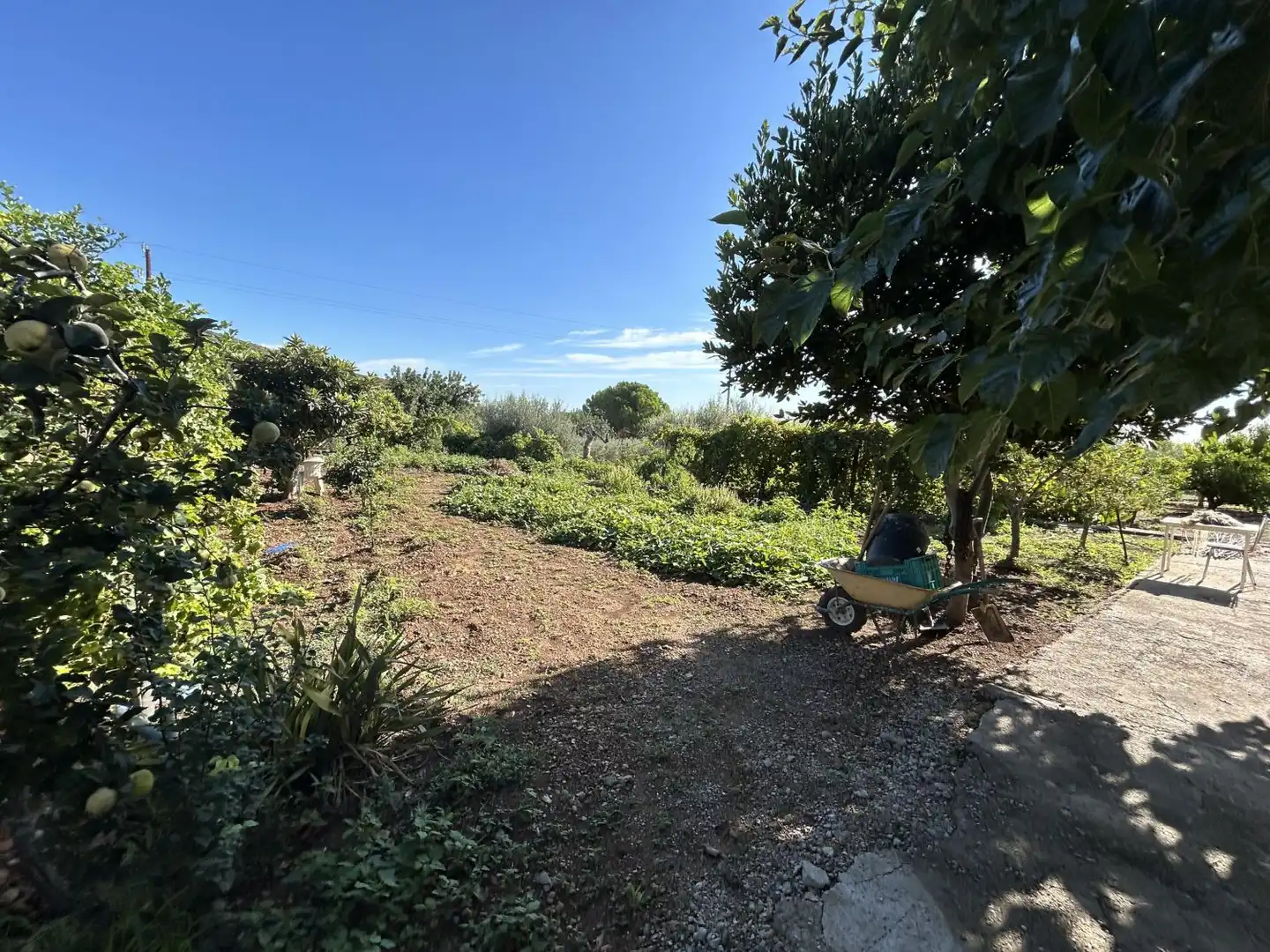 Villa mit Pool zum Verkauf in Alcanar, imagen 5