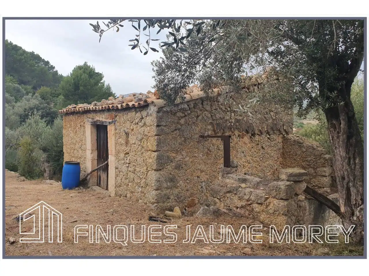 Finca rústica en venda en Selva amb Jardí privat