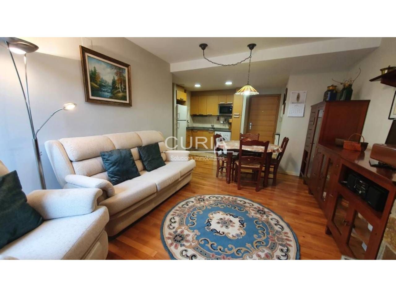 Sala d'estar de Apartament de lloguer en Esterri d'Àneu amb Calefacció, Parquet i Traster