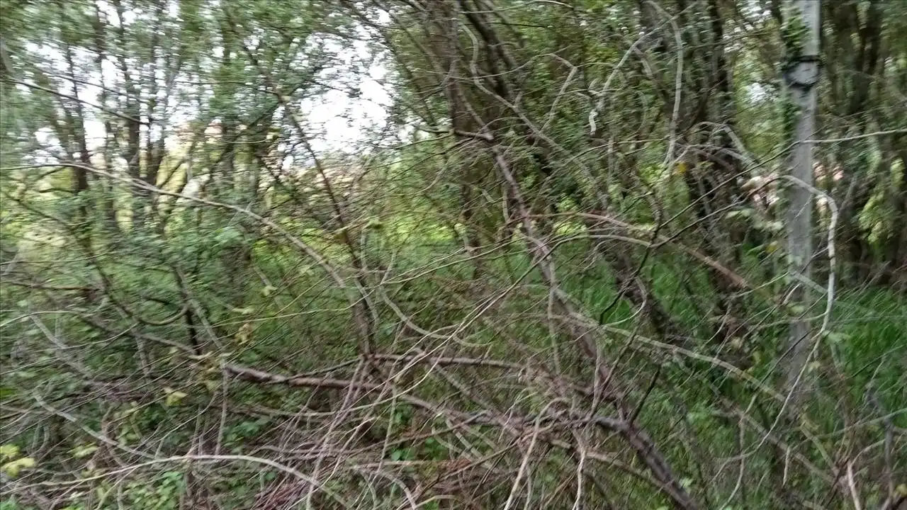 Grundstücke und Bauplätze zum Verkauf in Camposa-Beco, imagen 11