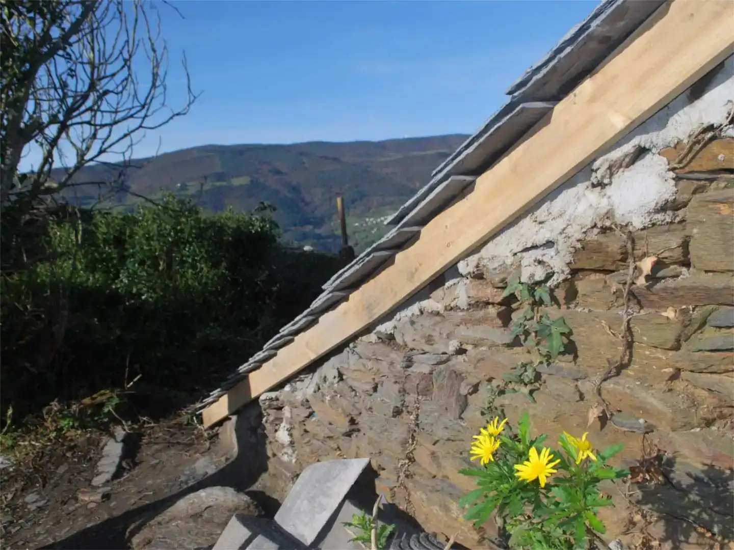 Jardí de Pis en venda en Illano amb Jardí privat