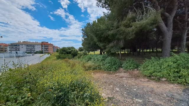 Terreno residencial en Venta en Camí Ermita Salut-V en Llevant