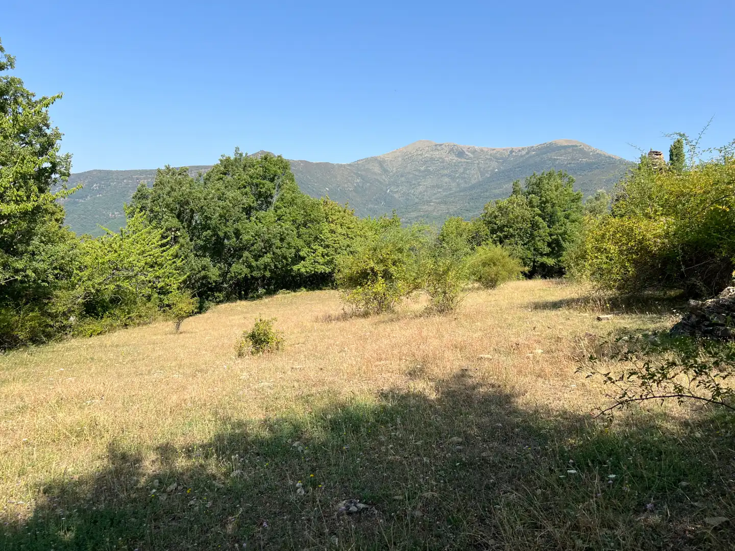 Land for sale in Broto