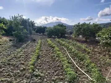 Casa rústica amb piscina en venda a Partido Cuesta Blanquilla, imagen 8