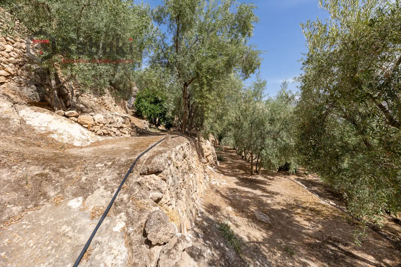 Terreno rustico in vendita a Pinar El - Pantano de Beznar, imagen 10