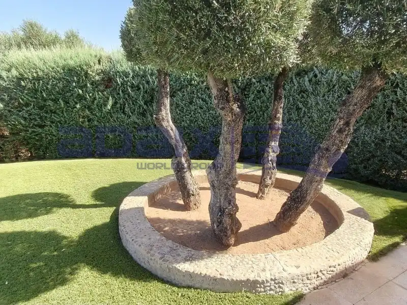 Casa in vendita a N/A, imagen 14