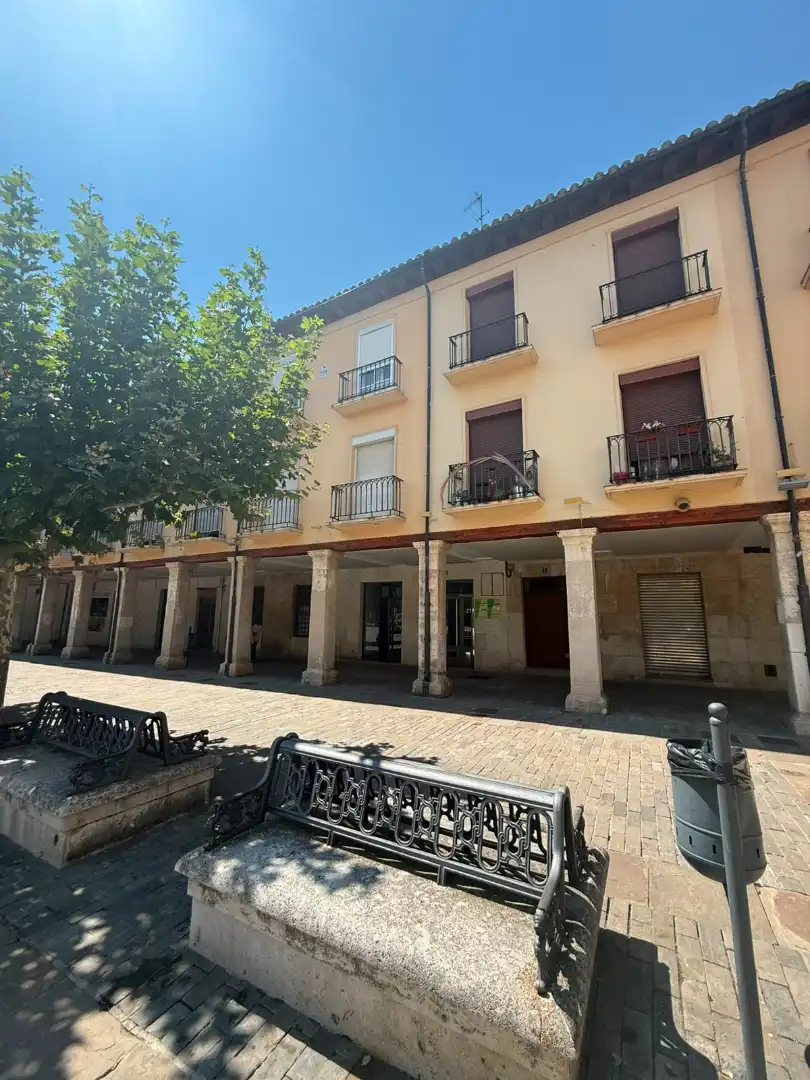 Vista exterior de Pis en venda en Palencia amb Aire condicionat, Calefacció i Parquet