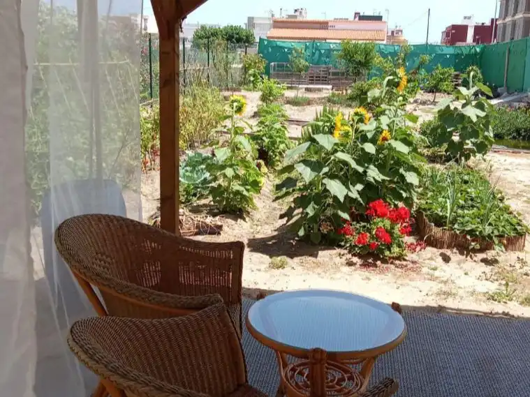 Rural land for sale in Carrer del Mestre Navarro 14, imagen 2