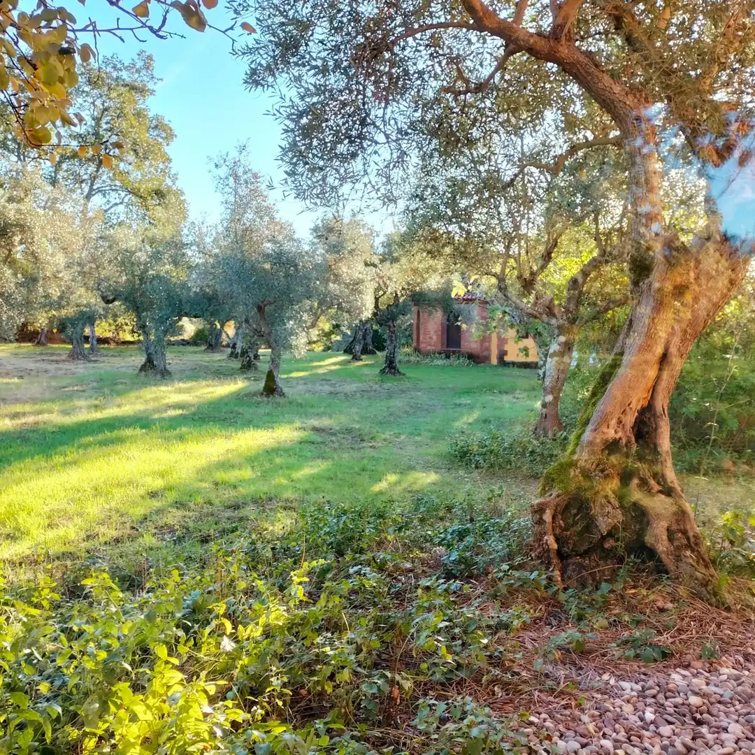 Terreni e lotti in vendita a Villanueva de la Vera, imagen 2