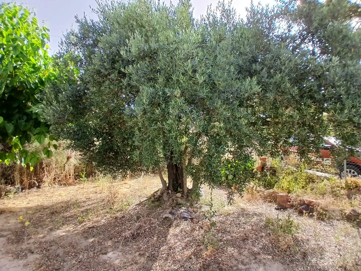 Rural land for sale in Horta de Sant Joan, imagen 10