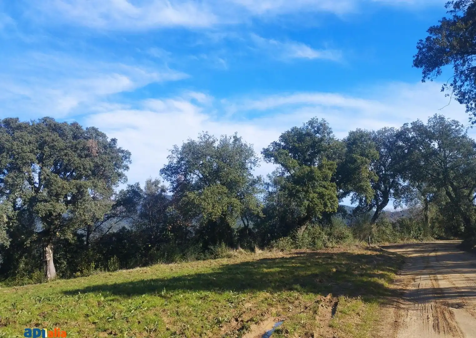 Finca rústica en venta en Massanes