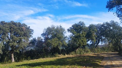 Foto 5 de Finca rústica en venta en Massanes, Girona