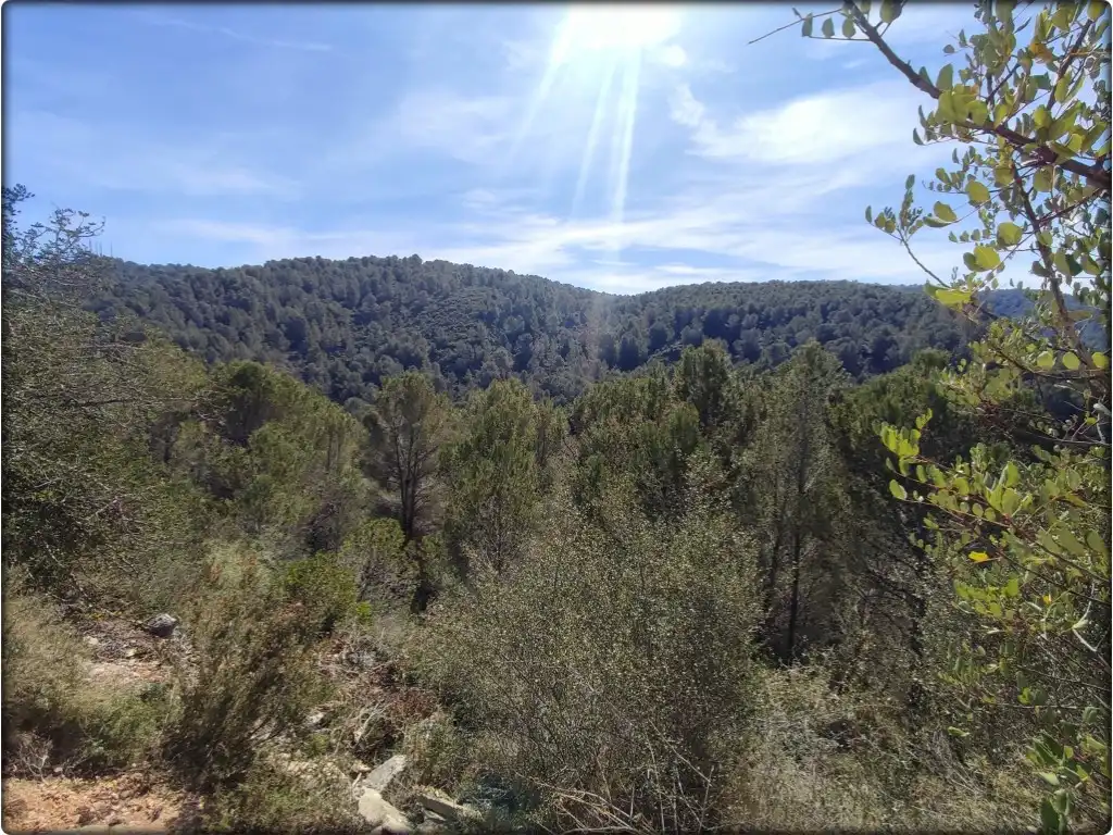 Residential for sale in La Font d'en Carròs