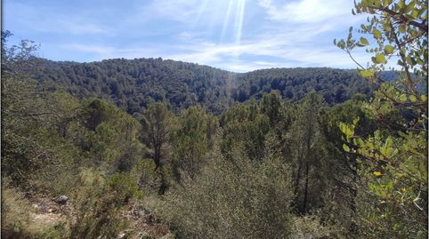 TERRENO URBANO EN LA FONT DEN CARRÒS, immagine 4