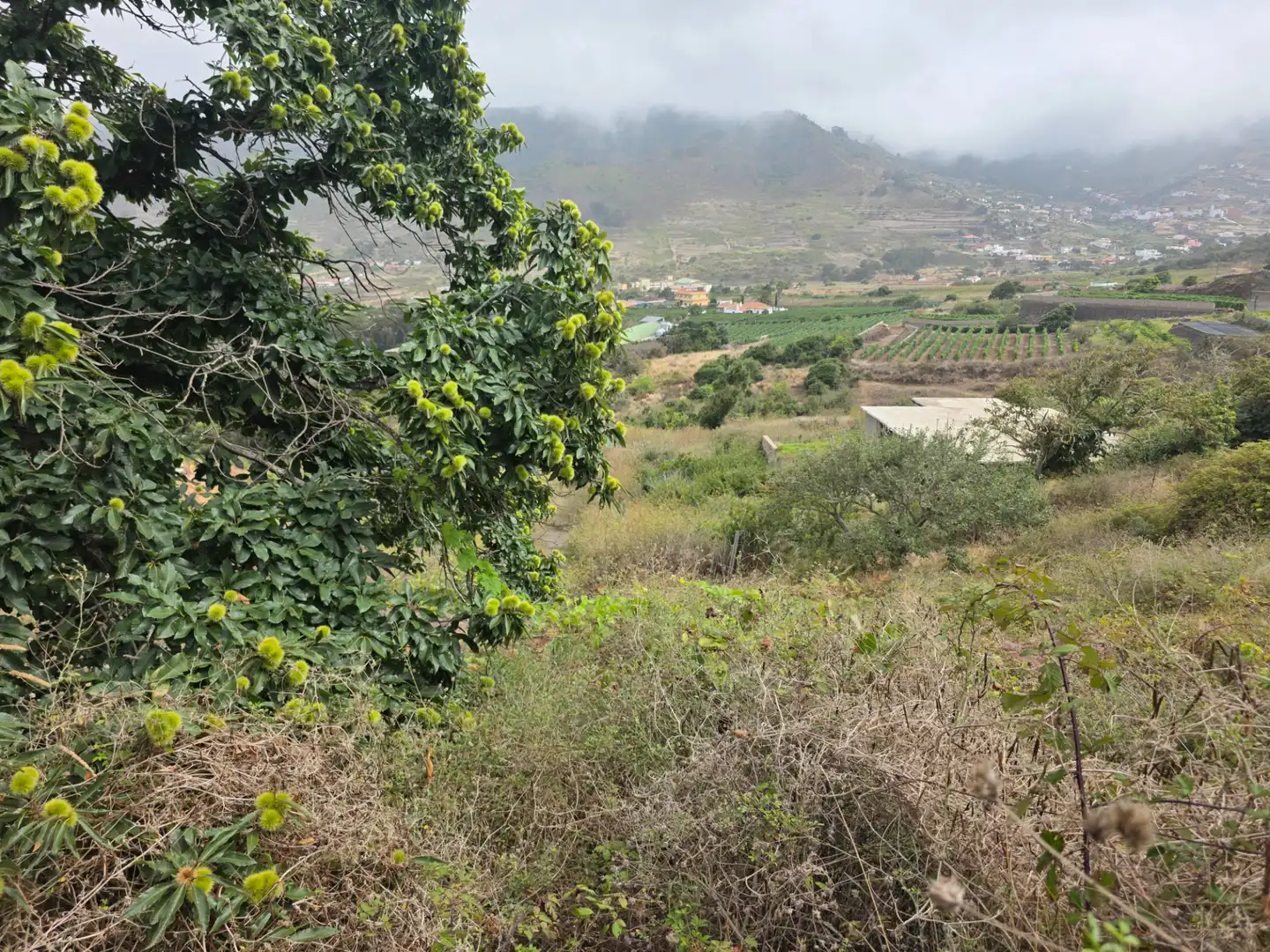 Rural land for sale in Camino las Peñuelas 11, imagen 19