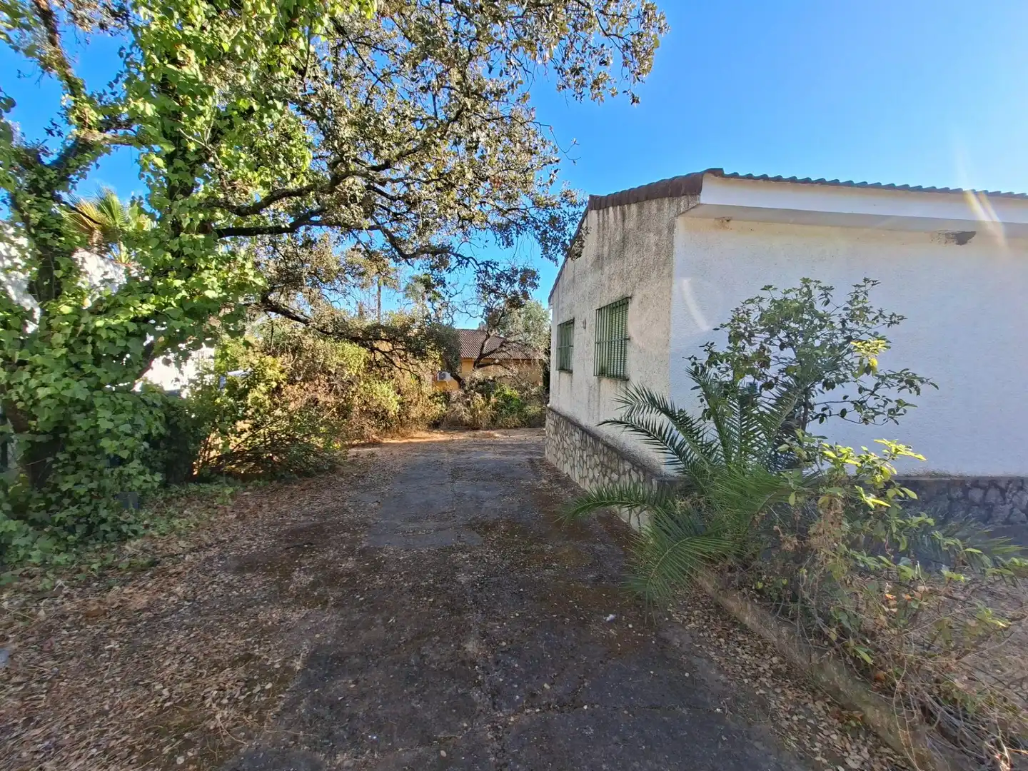 Vista exterior de Casa o chalet en venta en Guillena con Aire acondicionado, Jardín privado y Terraza