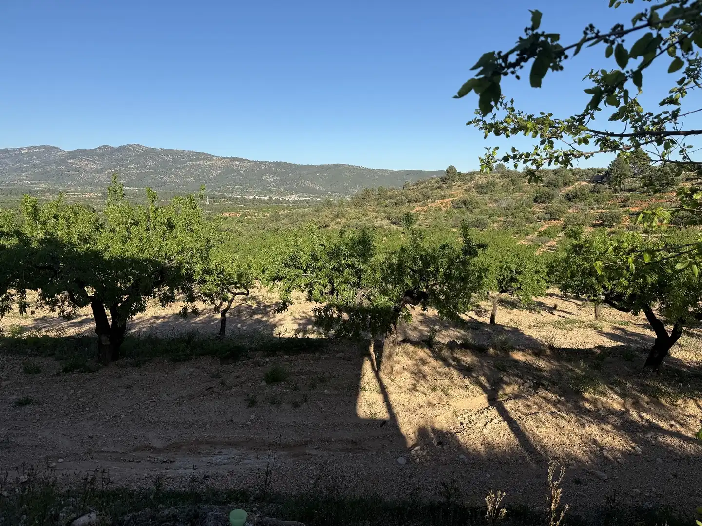 Grundstücke zum Verkauf in Useras /  Les Useres, Castellón