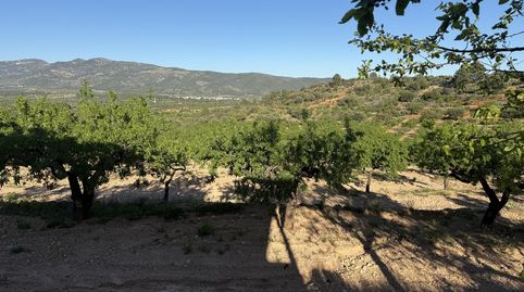 Foto 5 de Terreno en venta en Camí Vell de Llucena, 1, Useras / Les Useres, Castellón