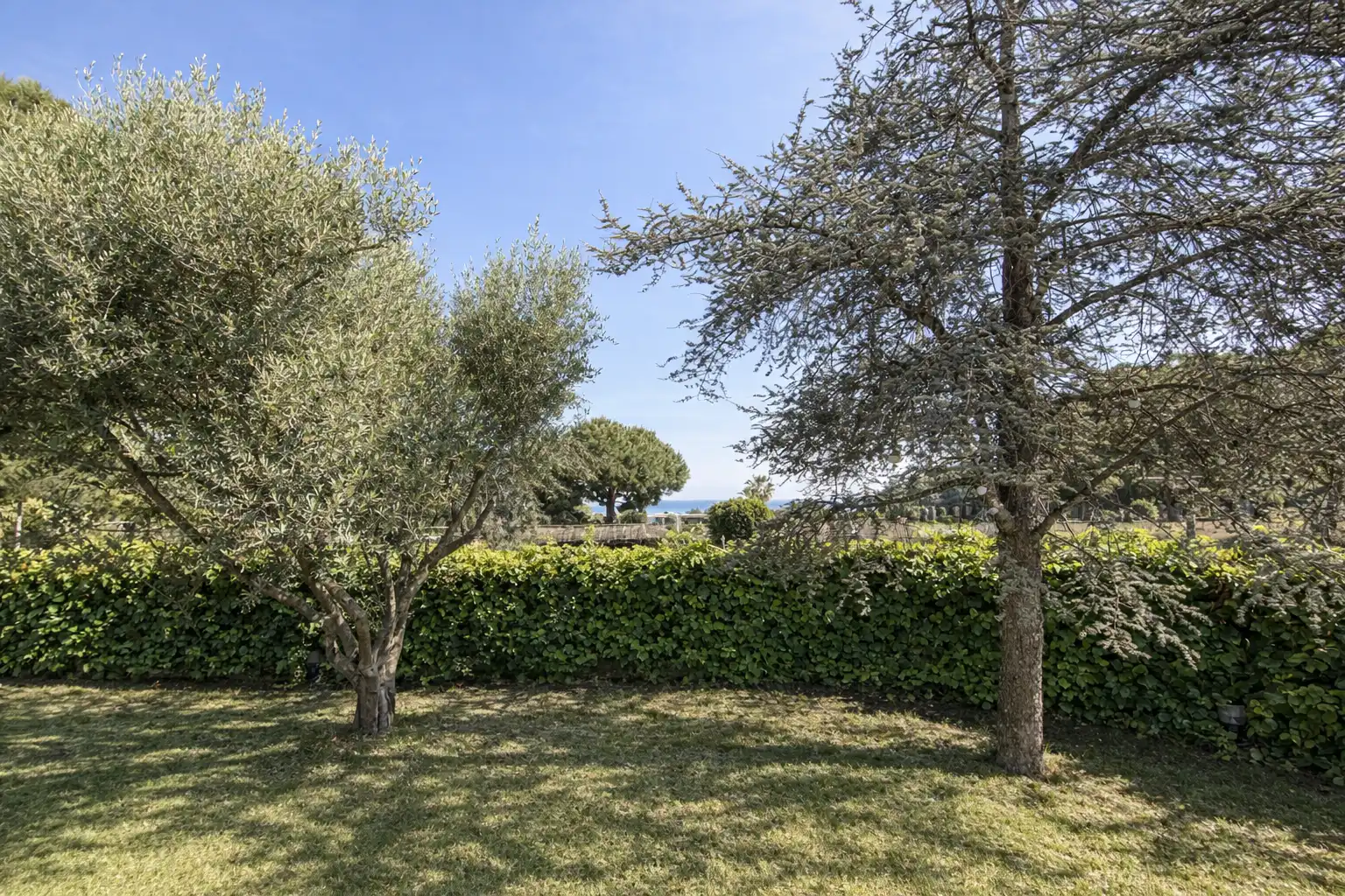 Haus mit Pool zum Verkauf in Santa Maria Balis - Can Riera - Can Jordi, imagen 4