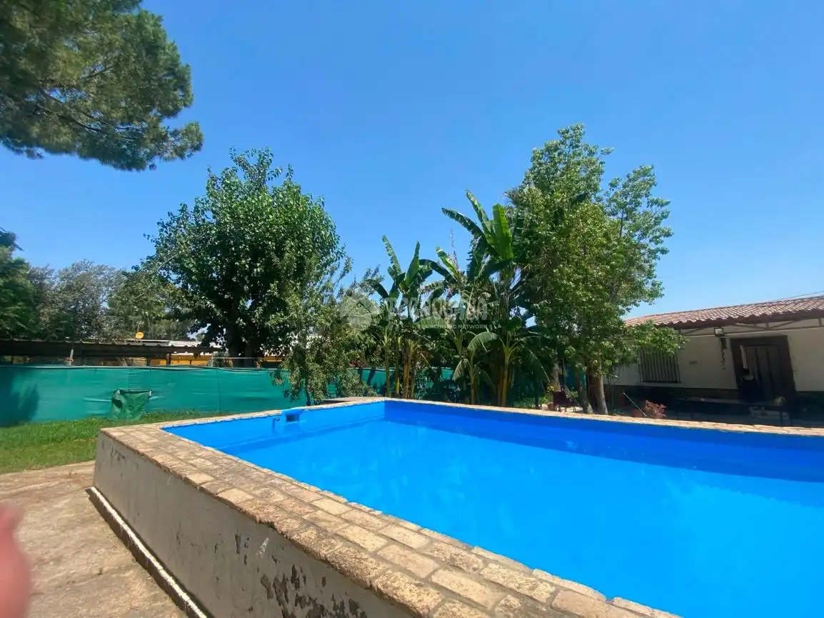 Swimming pool of Country homes for sale in Dos Hermanas