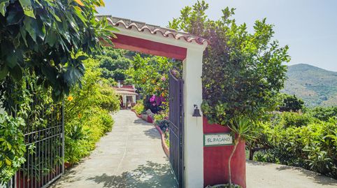 Foto 2 de Finca rústica en venta en Cocales, Hoya de la Meda Casa Pacano, Jete, Granada