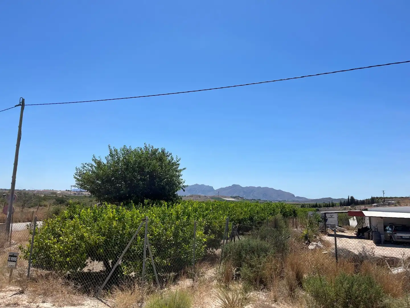 Terreno rústico en venta en Fortuna, imagen 3