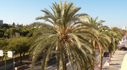 Foto 2 de Pis en venda a Avinguda de Menéndez Pidal, Les Tendetes - Avenida Burjassot,  Valencia Capital